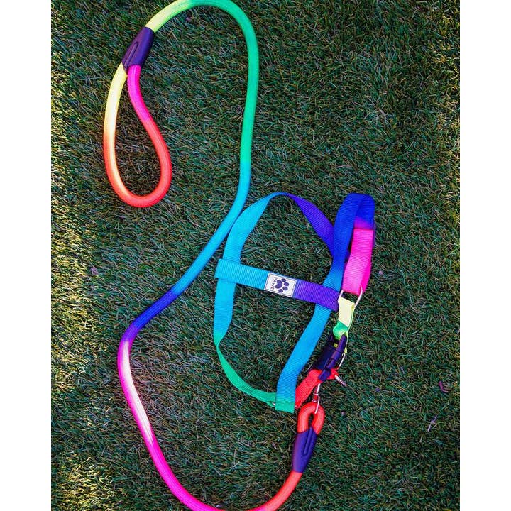 PAWZ - Wholesale Pet Harness - Dog - Rainbow Dog Harness & Matching Rope Leash1