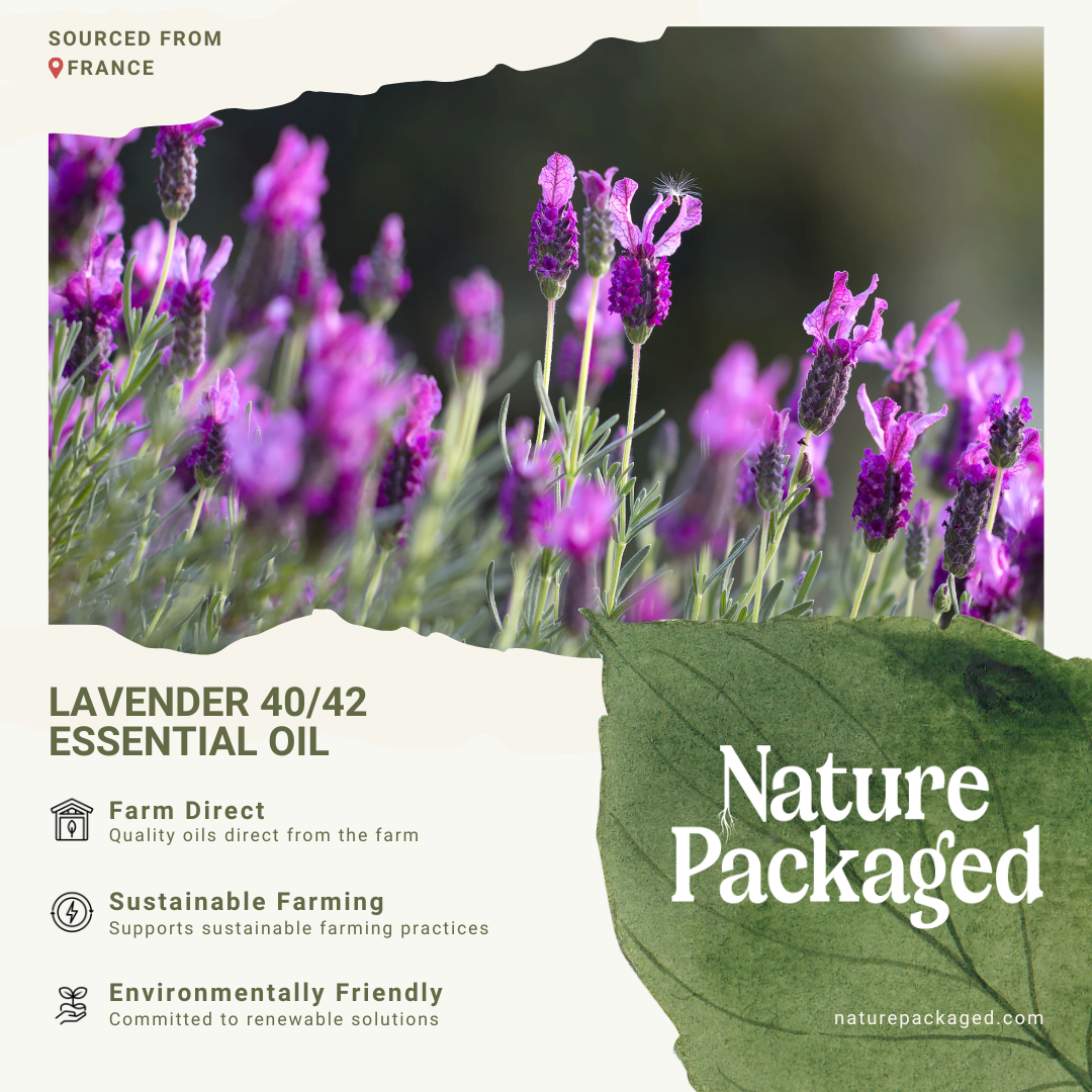 Nature Packaged - Vendita all'ingrosso Olio essenziale - Oli Essenziali di Lavanda 40/426