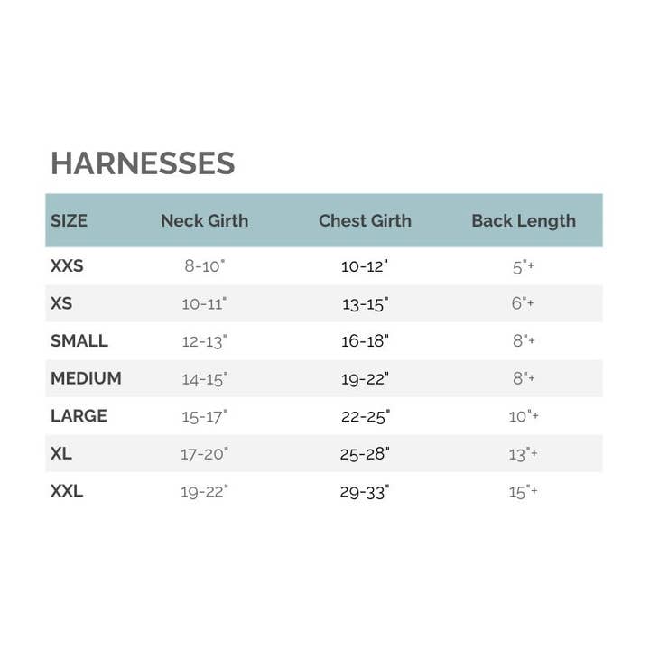 Heads or Tails Pup - Wholesale Pet Harness - Dog - Love Dad Harness