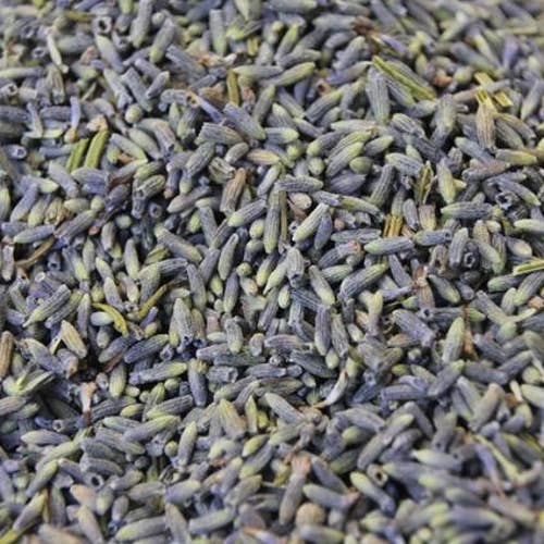 Nicolosi Créations - Wholesale Dried/Pressed Flowers - Bulk Dried Lavandin Flowers (1kg)