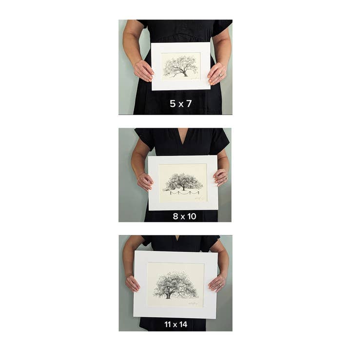 Fly Young Studio - Wholesale Art Print - Hunter Oak Tree - Southern Live Oak Tree Signed Art Print5