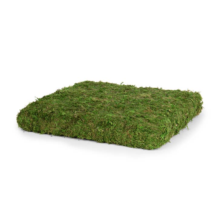 SQ MOSS RISER for wholesale by Willow Group