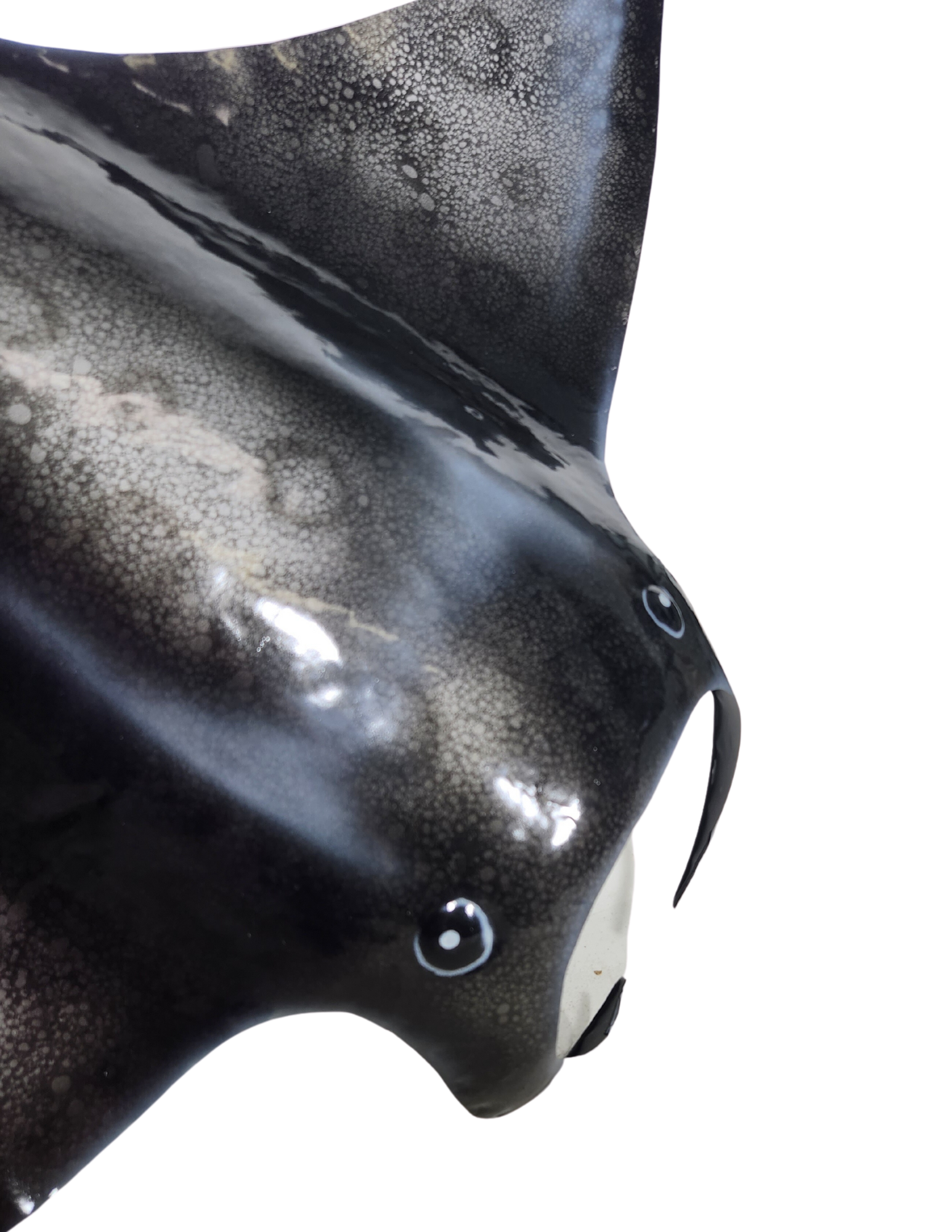 White Elephant - Wholesale Wall Accent - Manta Ray is Extra Large Hand crafted METAL   2