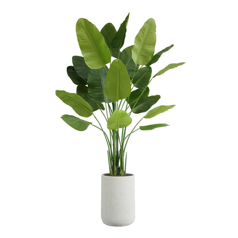 CG Hunter - Wholesale Artificial Plant - 8' Bird of Paradise Tree in Modern Gray Planter9
