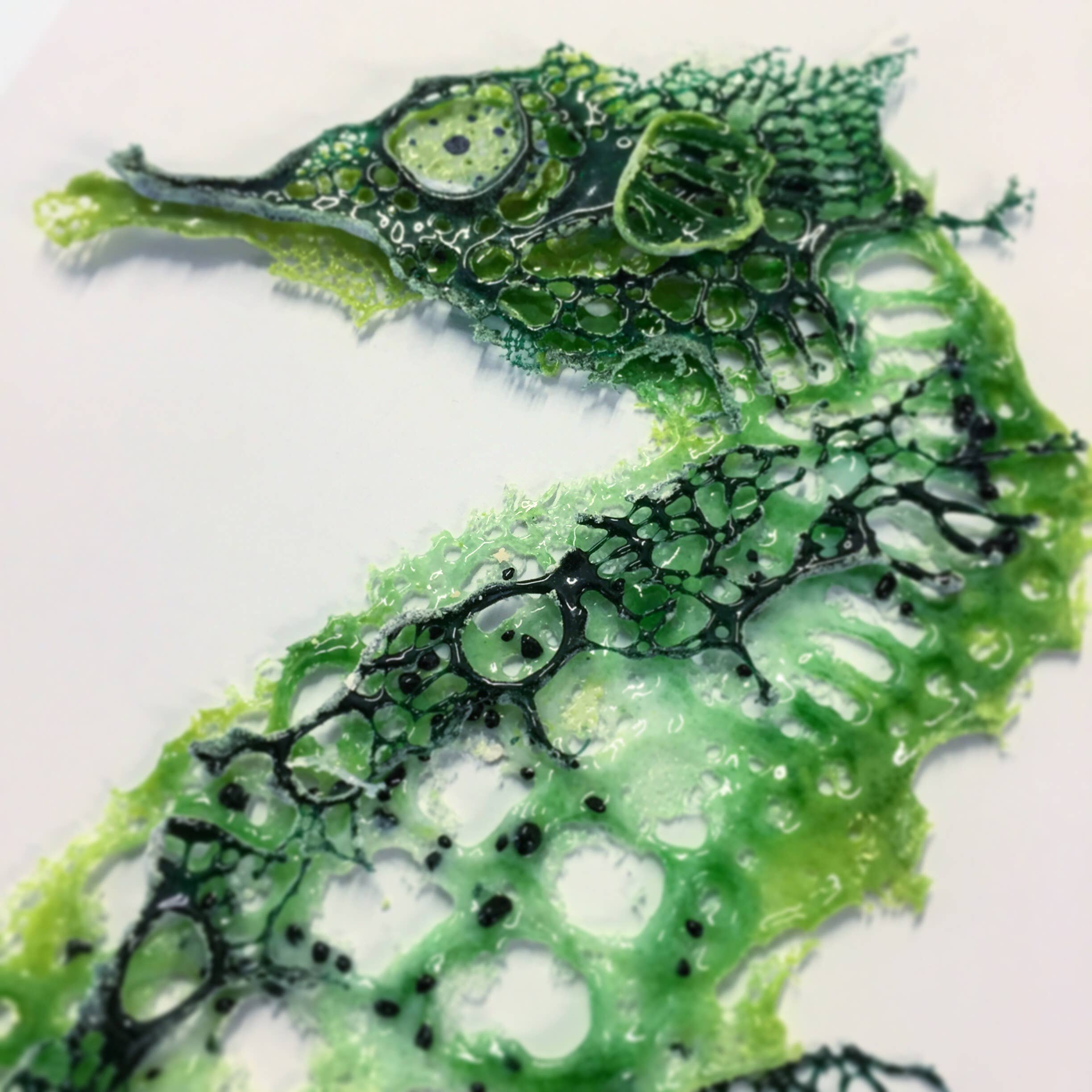 Dreya Glass - Wholesale Picture Frame - Framed Fused Glass Seahorse Large4