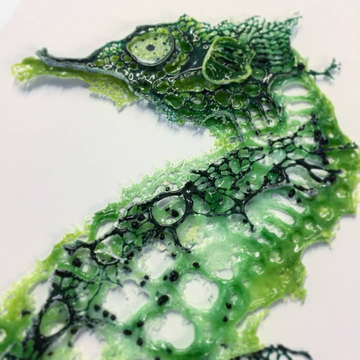 Dreya Glass - Wholesale Picture Frame - Framed Fused Glass Seahorse Large4