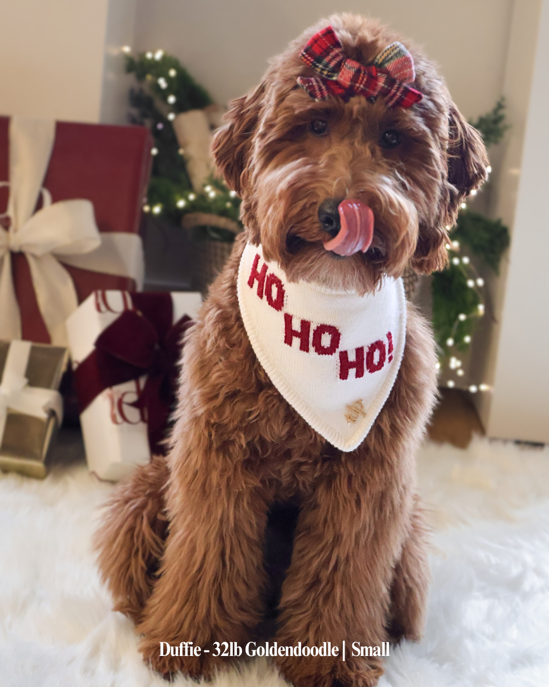 The Deluxe Pup - Wholesale Pet Bandana - Dog - BANDANA | HO HO HO1