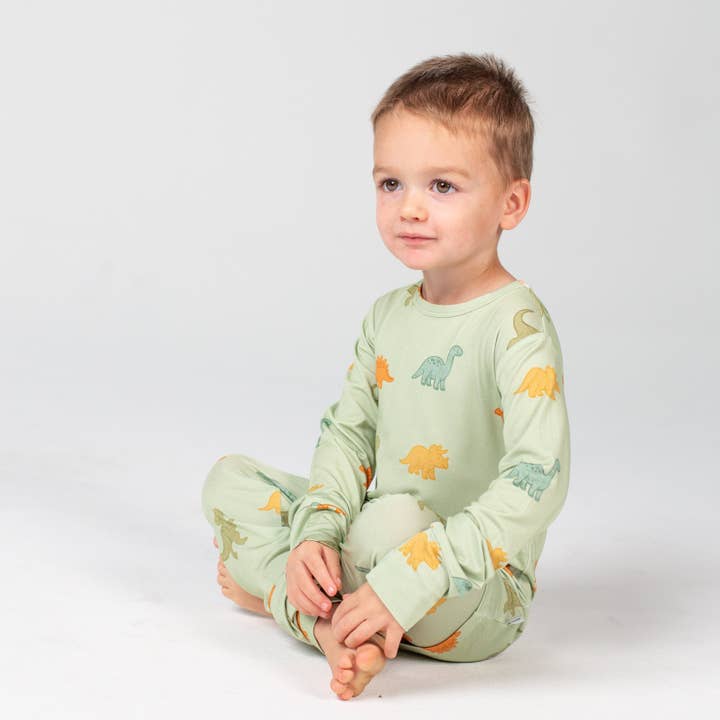 Conjunto de manga larga - Dinos para venta al por mayor de Willow+Co