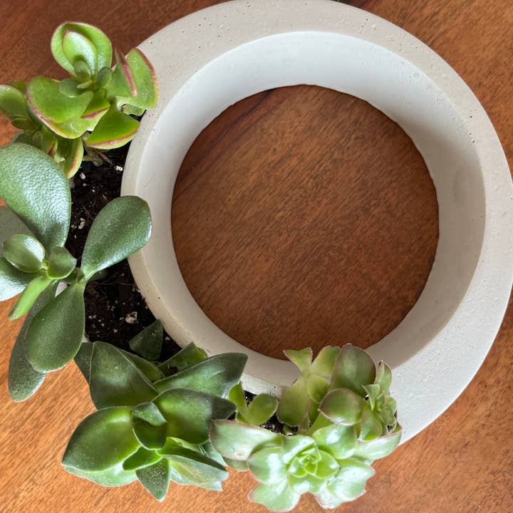 Nora - Vendita all'ingrosso Vasi per piante - Vaso circolare moderno4