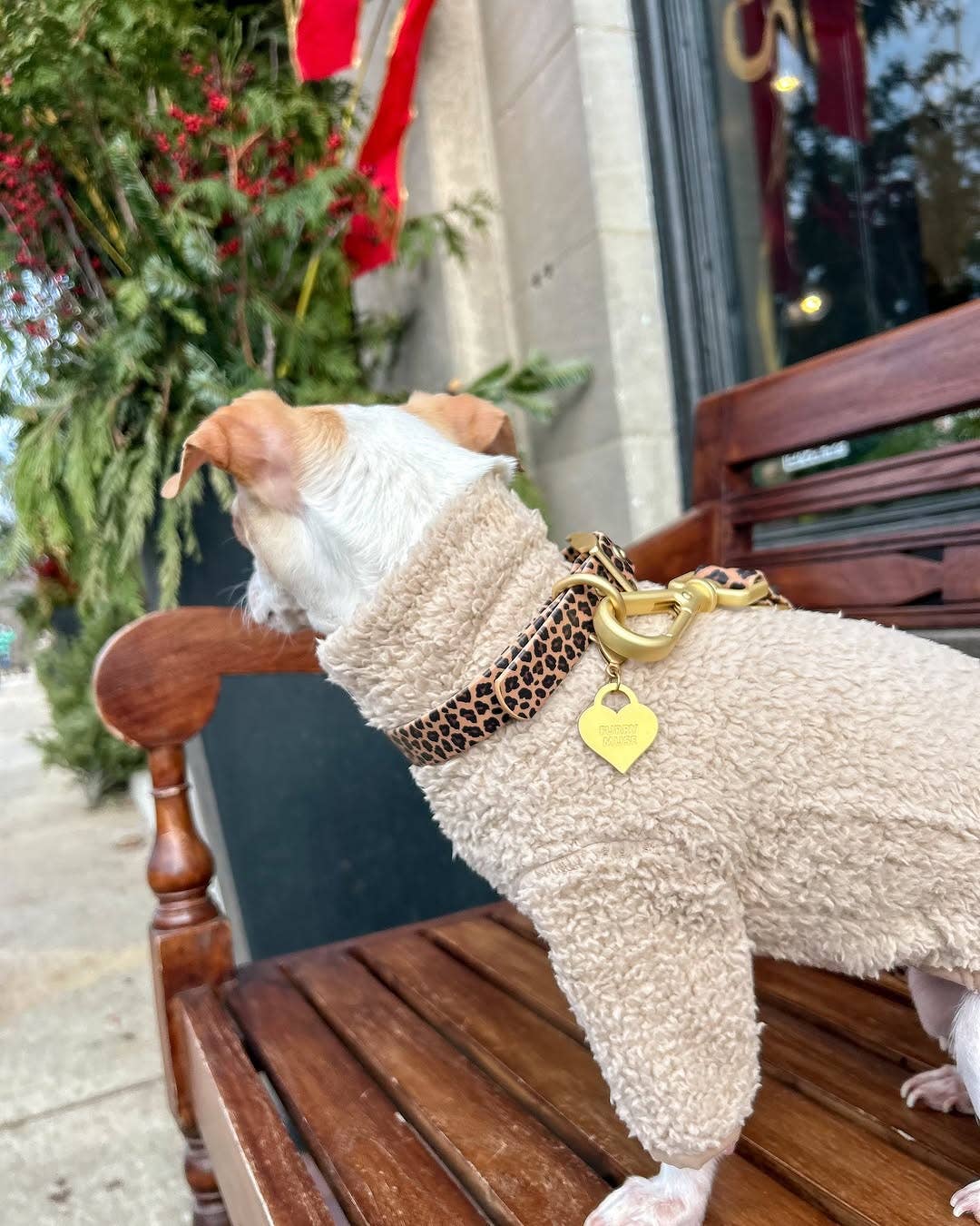 Wander! Waterproof Collar Leopard for wholesale on Faire7