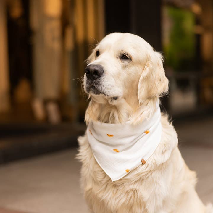 Lieblingspfote - Wholesale Pet Bandana - Dog - Muslin Scarf "CROISSANTS"