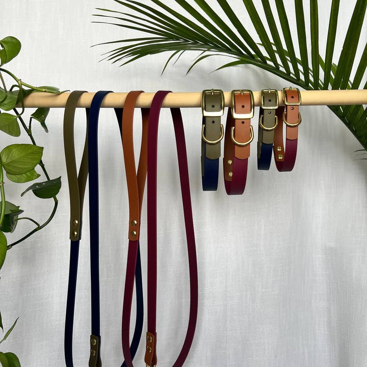 Moss Dog Collars – Großhandel Haustierhalsband – Hund – Die Neutral-Kollektion - Halsbänder