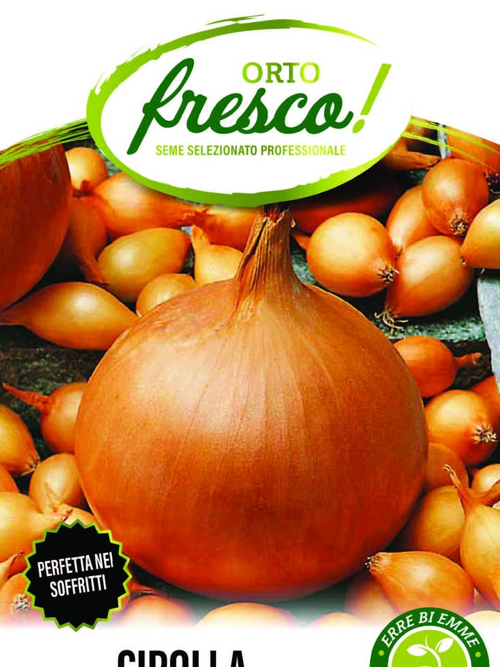 Golden Onion of Parma for wholesale by Sementi & Barbatelle