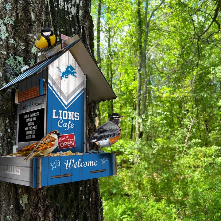Detroit Lions Bird Feeder for wholesale by Fan Creations