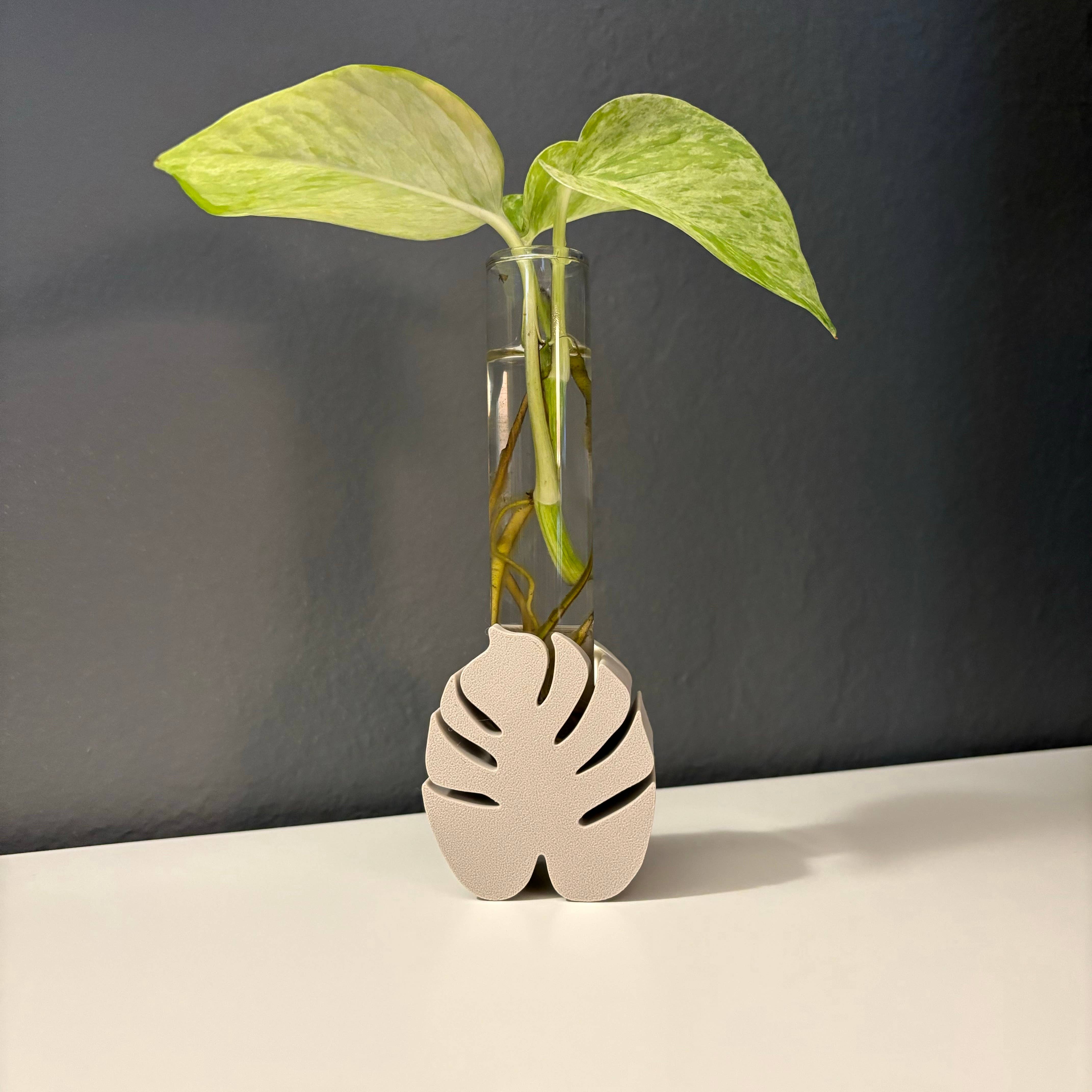 Plant Voyage – Vaso de plantas por atacado – Suporte para Propagação de Monstera Impresso em 3D pela Plant Voyage9