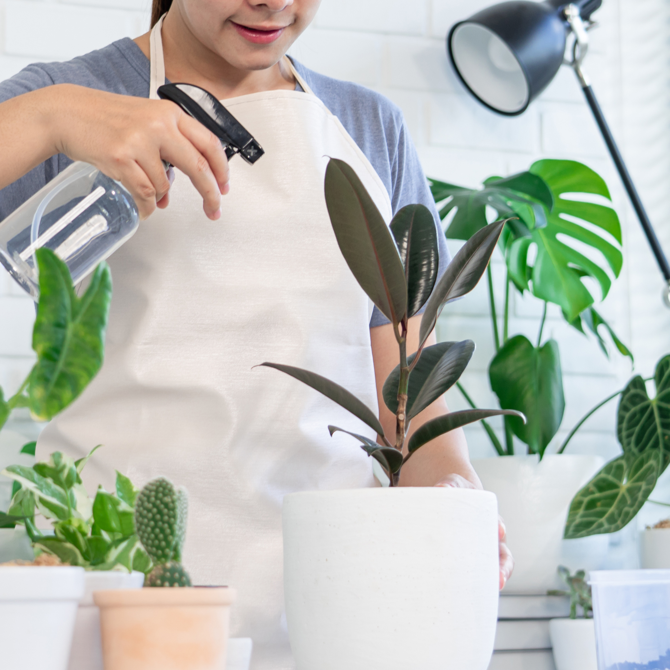 EKOH - Vendita all'ingrosso Dispenser per sapone - Bottiglie Boston in vetro trasparente da 500 ml con dispenser per sapone e spray, confezione da 22