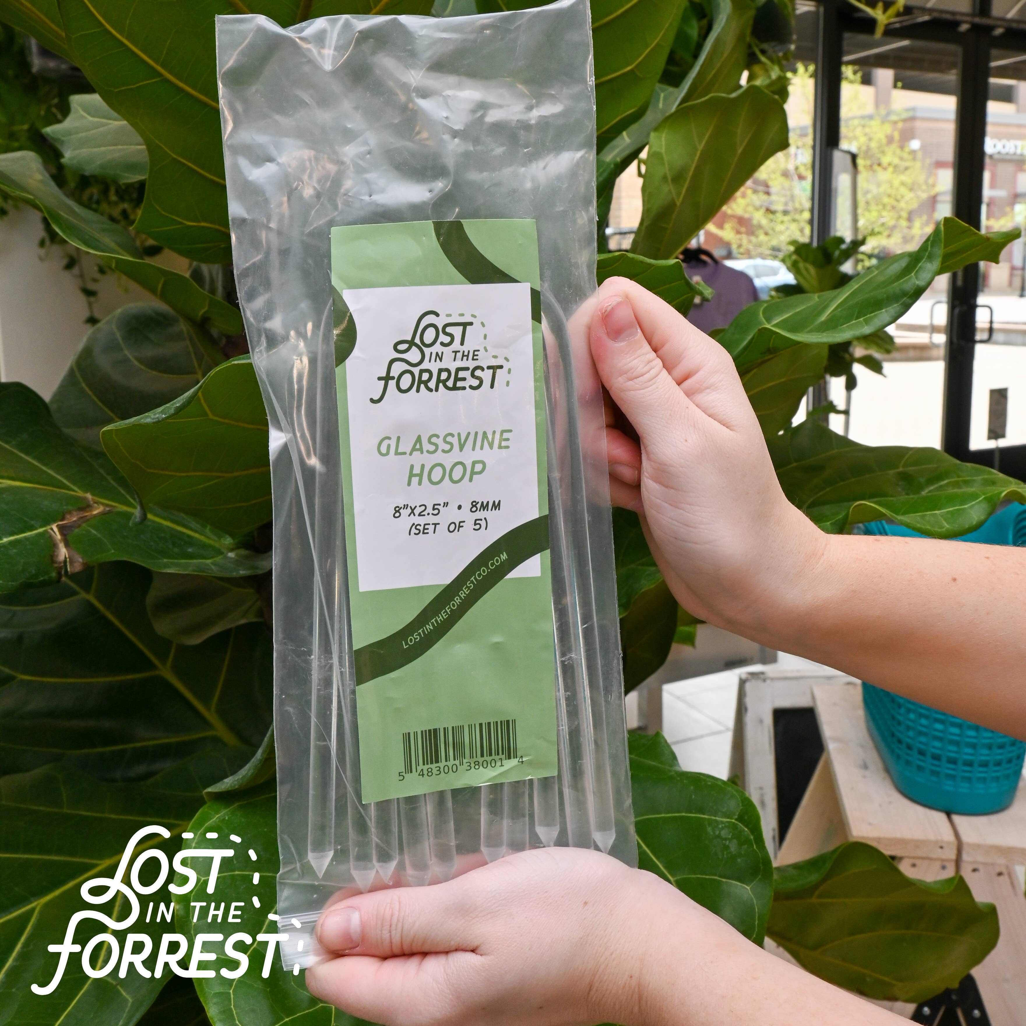 Lost in the Forrest - Wholesale Garden Tool - Glassvine Plant Support Hoop7
