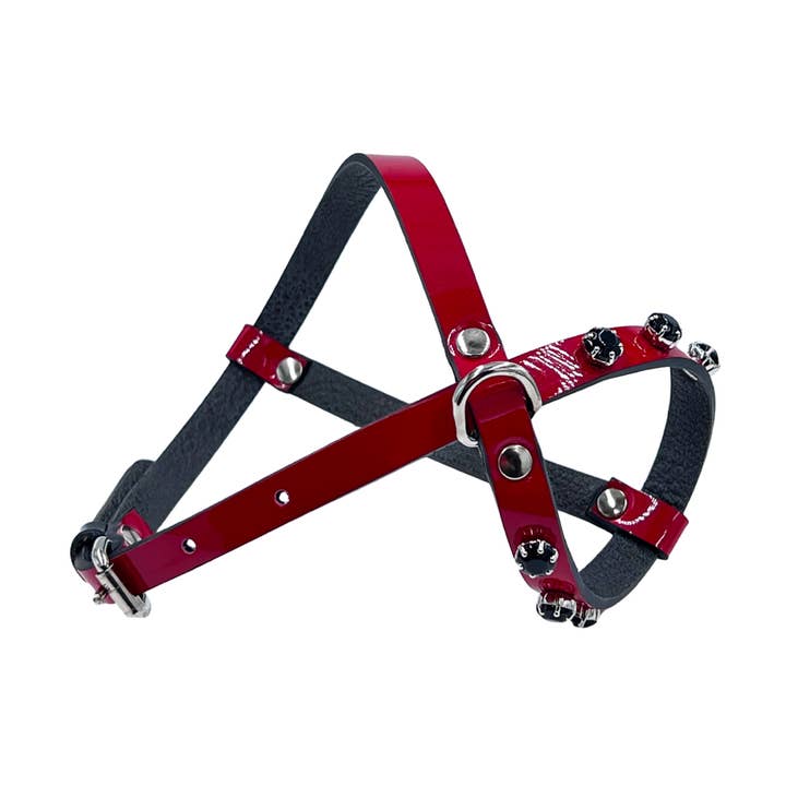 <BR>FLAME HARNESS for wholesale by My queen