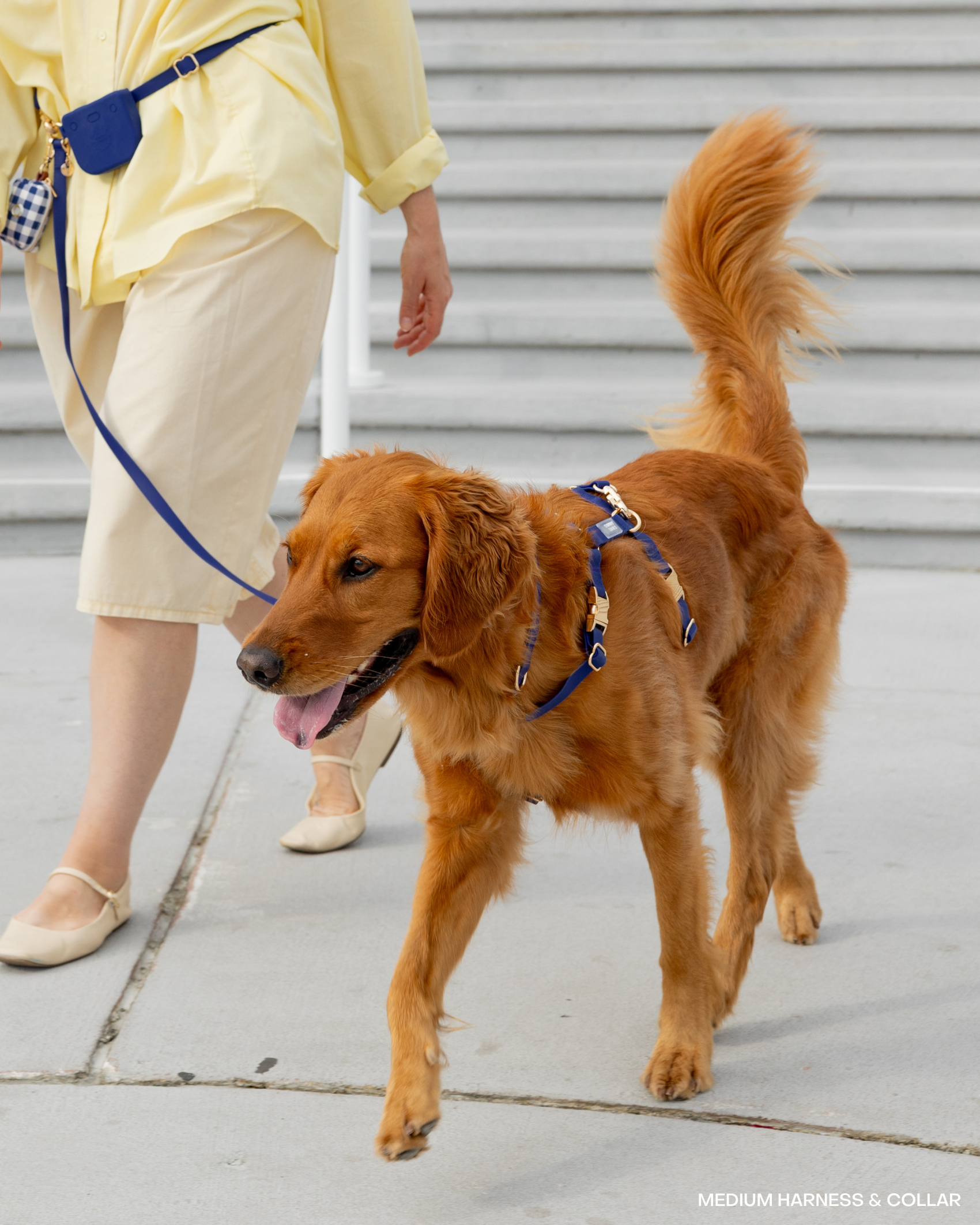 SUNNY TAILS - Wholesale Pet Harness - Dog - Signature Navy Cloud Lite Dog Harness4