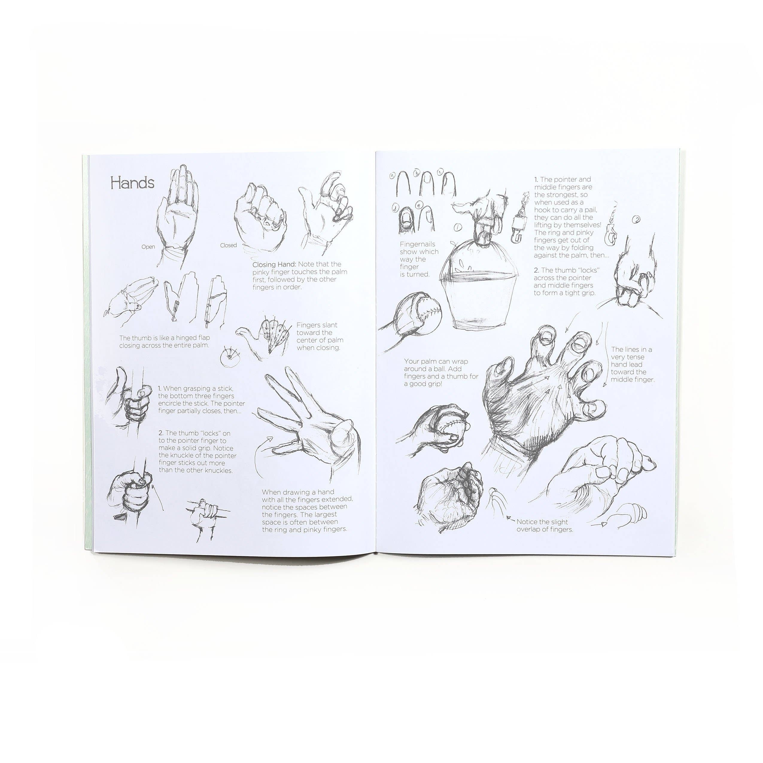 eeBoo - Wholesale Baby & Toddler Book (0-2) - Learn to Draw People Art Book3