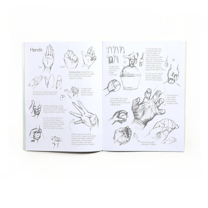 eeBoo - Wholesale Baby & Toddler Book (0-2) - Learn to Draw People Art Book3