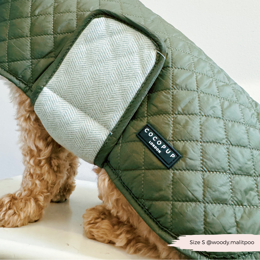 Cocopup London - Wholesale Pet Coat - Dog - LUXE Quilted Dog Coat - Country Khaki15