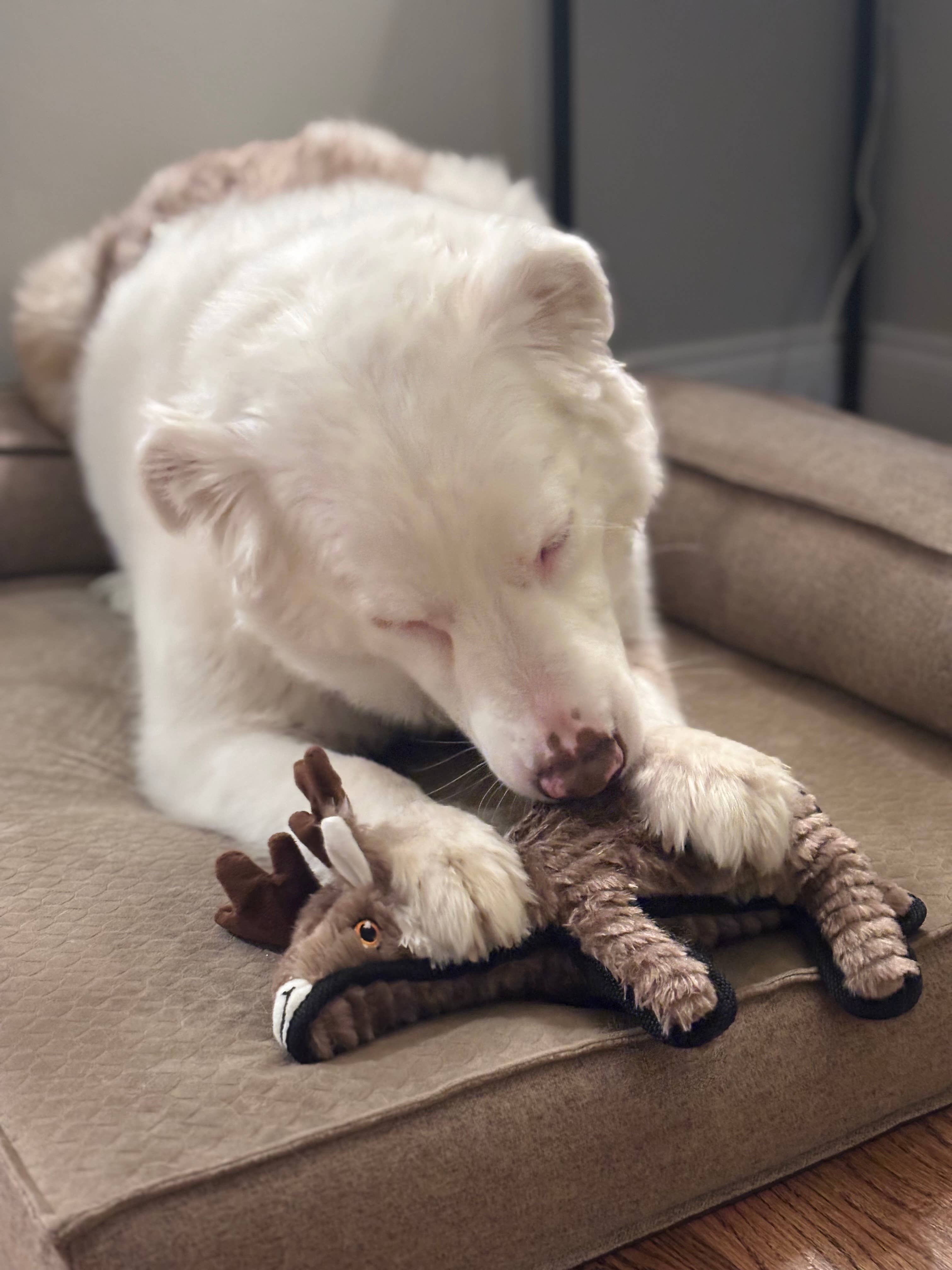 Lightning Dog - Wholesale Pet Plush Toy - Dog - Rowdy Herder - Reindeer