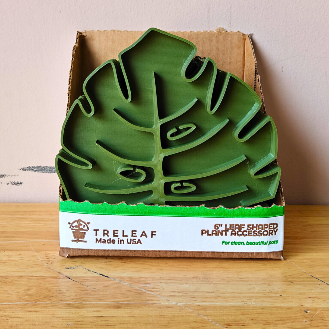 Treleaf - Wholesale Plant pot - Tera Sausr - Monstera Leaf-shaped Pot Saucer - Humidity Tray16