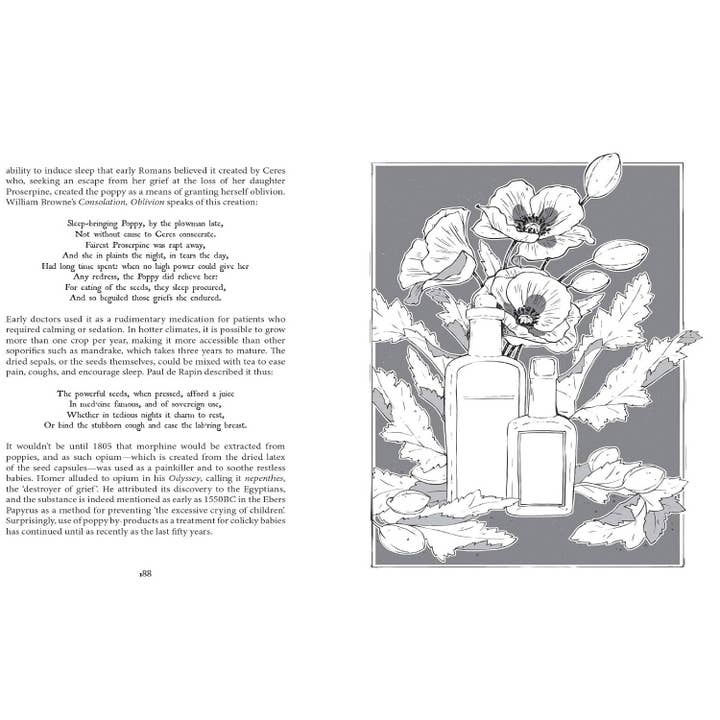 Hachette Book Group - Wholesale Nature & Outdoors - Botanical Curses and Poisons: The Shadow-Lives of Plants (Co6