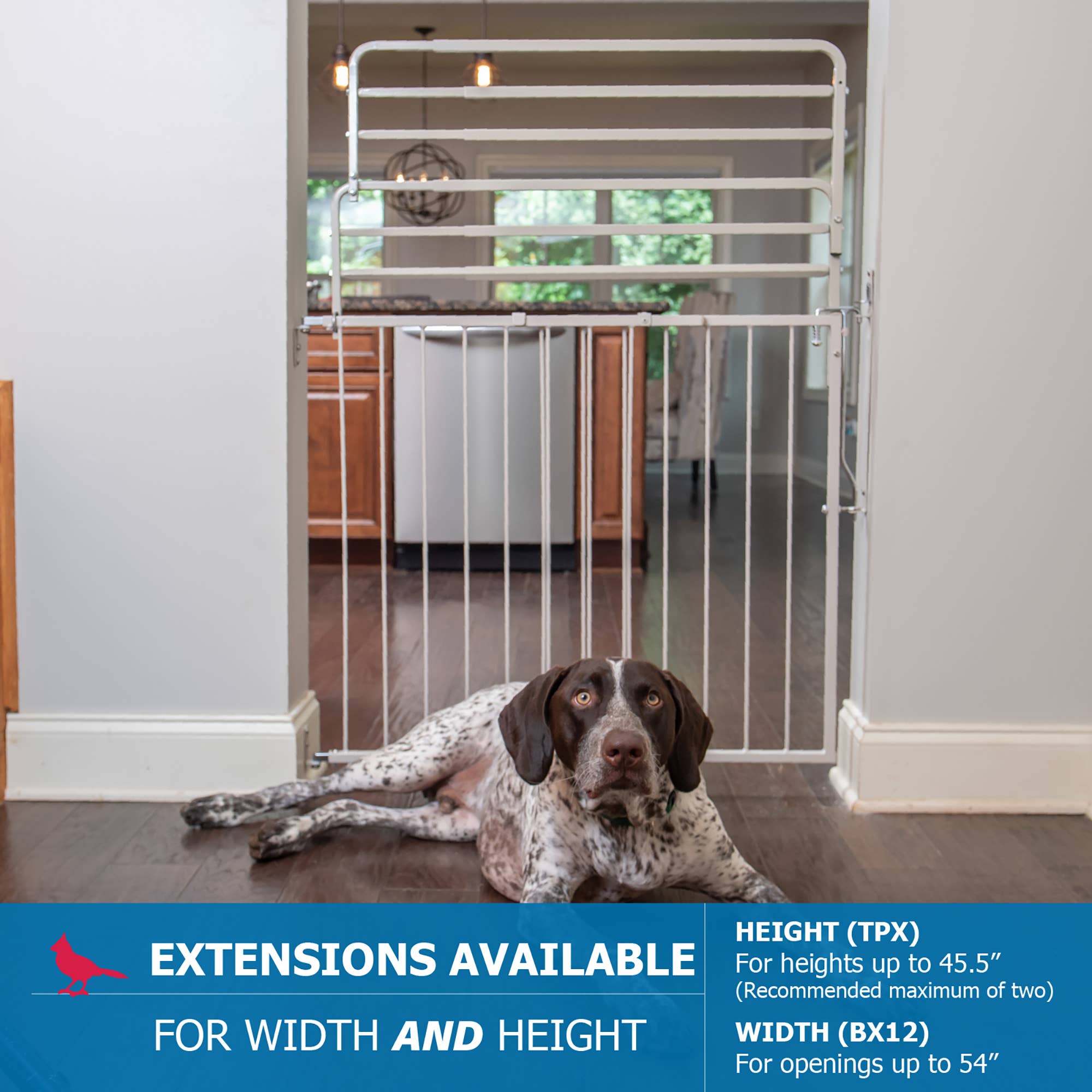 Cardinal Gates, Inc. - Wholesale Pet Folding Gate - Dog - Cardinal Gates Duragate Pet Gate (Model MG-25)8