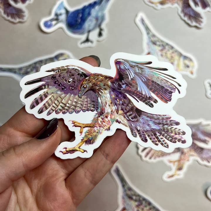 Maine Bird Stickers: Red-Tailed Hawk for wholesale by Liz Burdick Arts