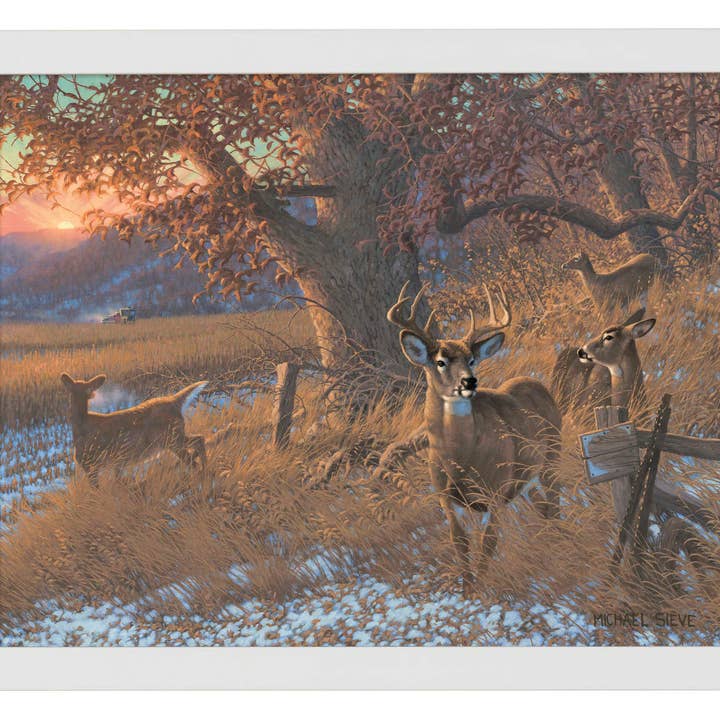 Impressions d'art de cerf de Virginie descendant de la crête pour la vente par Art Brand Studios