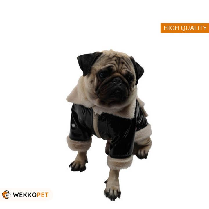 (LOT DE 5) Manteau pour chien de haute qualité - Clara - Cadeau parfait pour les amoureux des chiens - WEKKOPET pour la vente par WEKKOPET