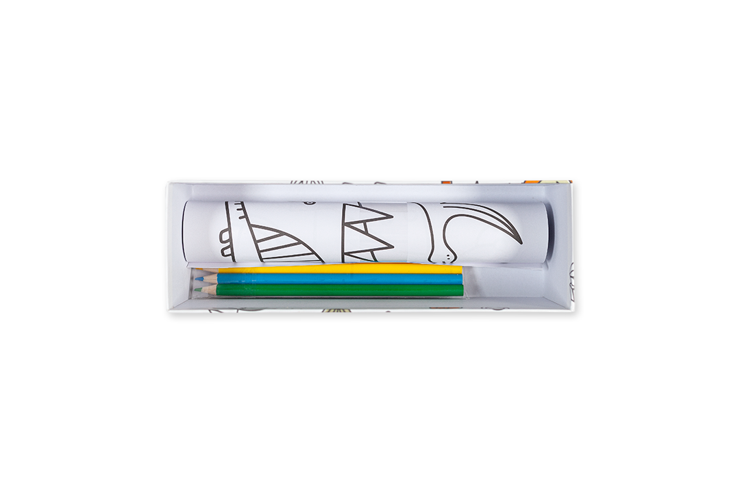 Edicare Editora, Lda. - Vente Livre de coloriage et d'activités pour enfants et bébés - Déroule - Dinosaures1