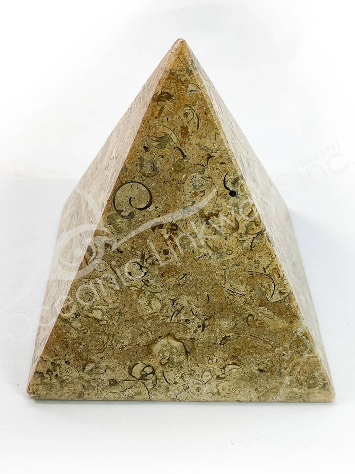 (PC)PYRAMID - FOSSIL CORAL (POINT IS DAMAGED) 6-7" for wholesale by Oceanic Linkways Inc