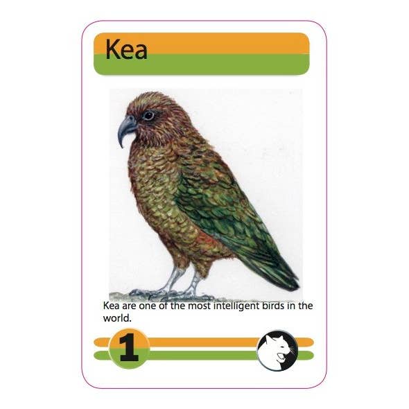 Science and Nature – wholesale Kortspel – Nya Zeeland Menagerie spel