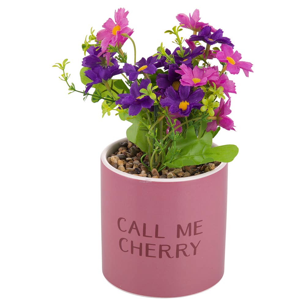 VdE Tivoli 1996 - Vendita all'ingrosso Piante artificiali - CALL ME CHERRY PIANTINA 10X20CM0