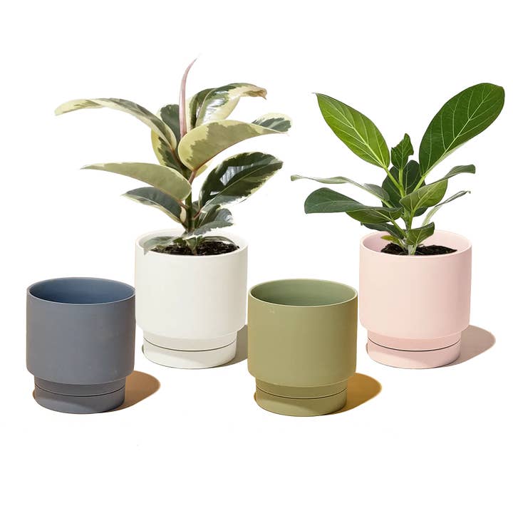 Casey, 5" Pot & Saucer for wholesale by Chive UK