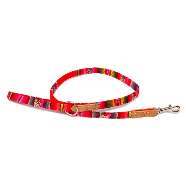 Hiro + Wolf - Wholesale Pet Leash - Dog - Inca Orange Classic Dog Lead/Leash1
