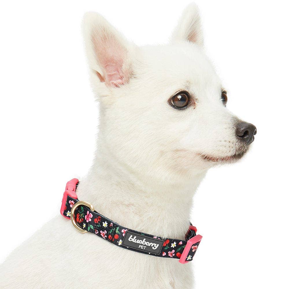 Blueberry Pet - Wholesale Pet Collar - Dog - Summer Floral Dog Collar in Pastel Colors for Girl Dogs9