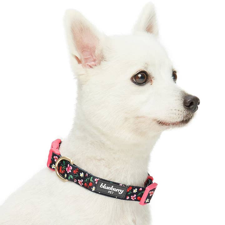 Blueberry Pet - Wholesale Pet Collar - Dog - Summer Floral Dog Collar in Pastel Colors for Girl Dogs9