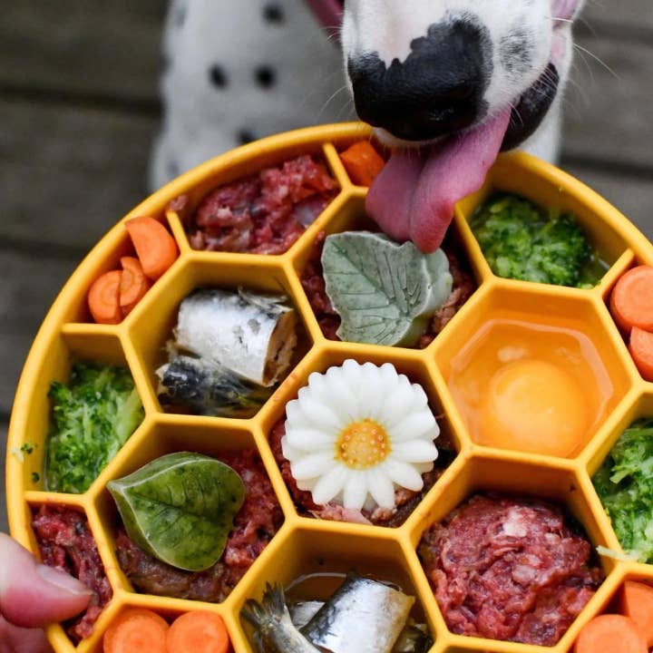 SodaPup Dog Toys - Wholesale Pet Bowl - Cat/Dog - Honeycomb Design eBowl Enrichment Slow Feeder Bowl for Dogs2