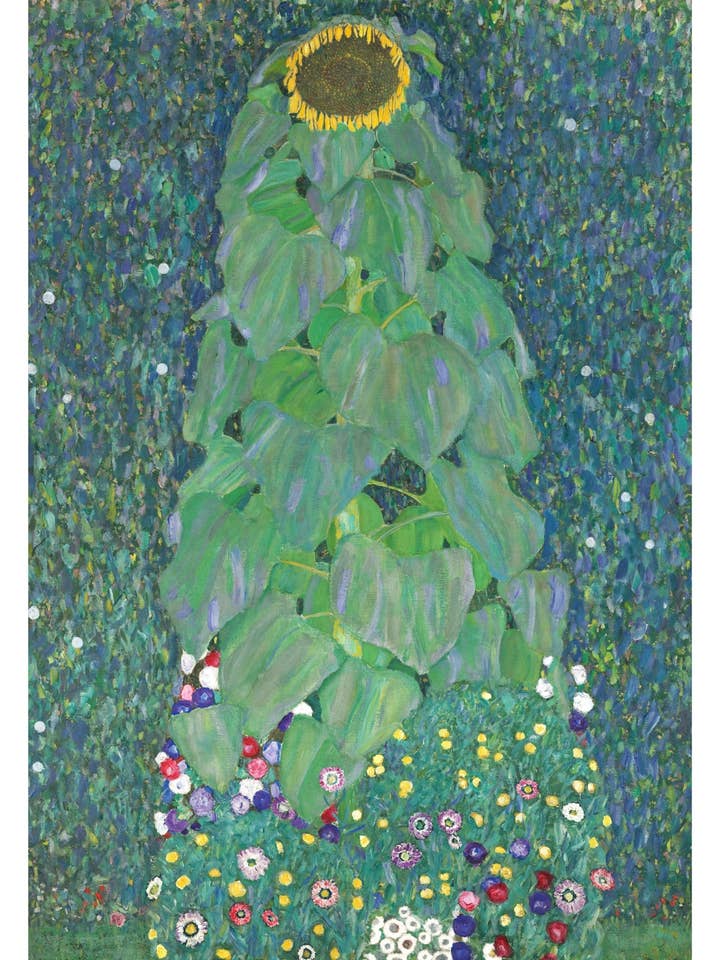 Solros för wholesale av Animato