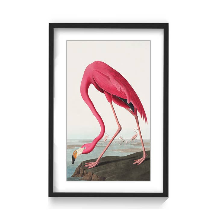 "Pink Flamingo" Framed Print Wall Art for wholesale by Ready2hangart, Inc.