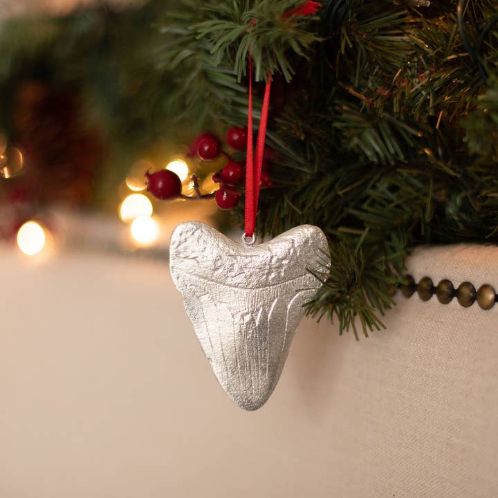 House of Morgan Pewter - Vente Lots de décorations - Décoration de Noël requin - Megalodon - Coffret cadeau dent de requin