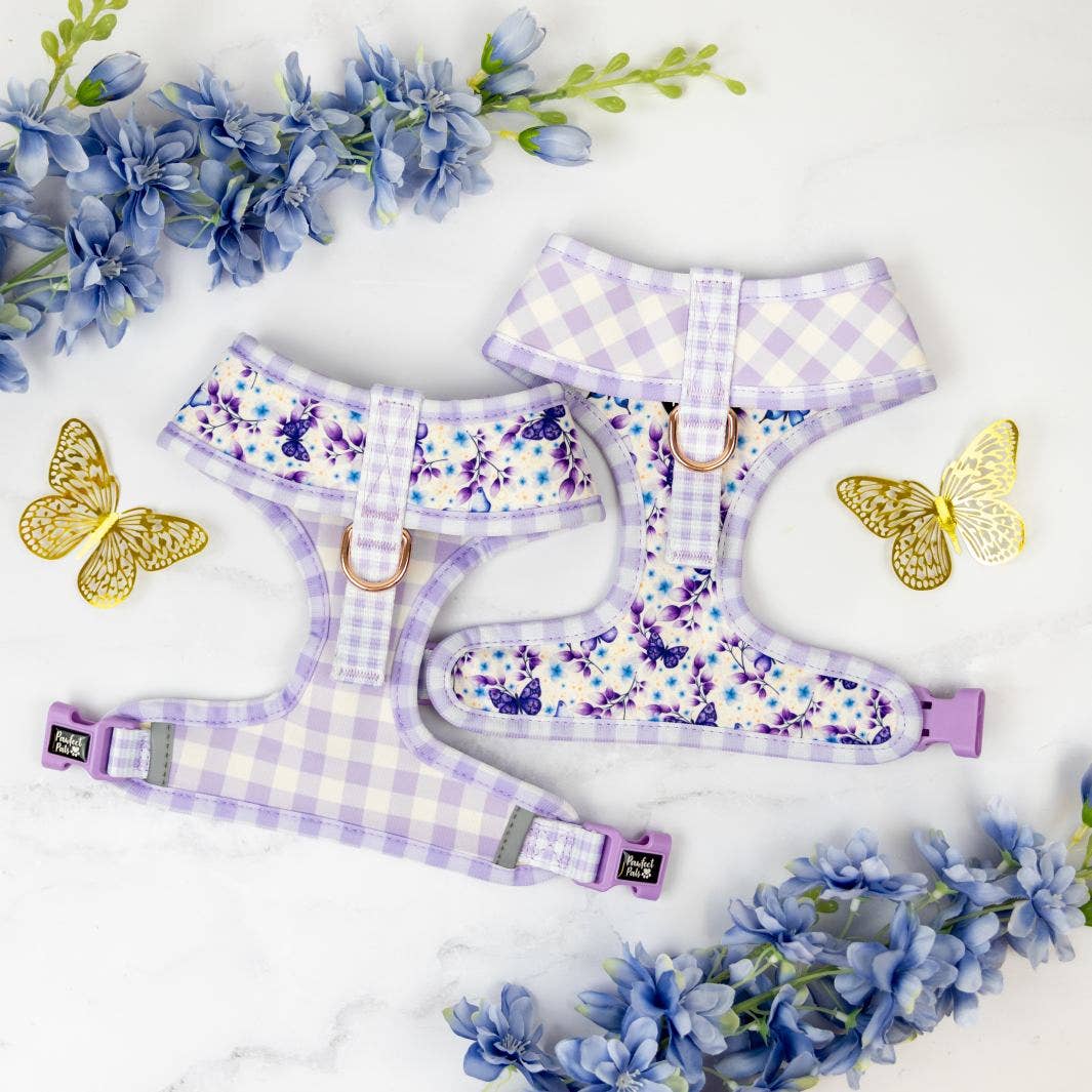 Pawfect Pals – Arnês – Cão por atacado – Social Butterfly - Arnês Reversível para Cães3