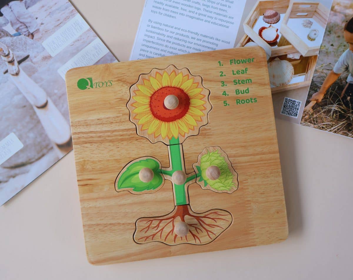 Q Toys - Wholesale Wood toy – Child - QTOYS Montessori Parts of a Plant Puzzle0