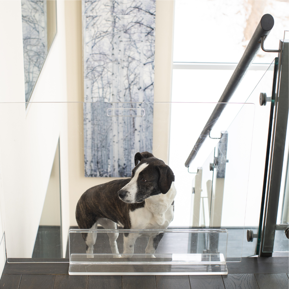 Hiddin - Vente Barrière portative pliable – chien - Portail à Panneaux Hauts18