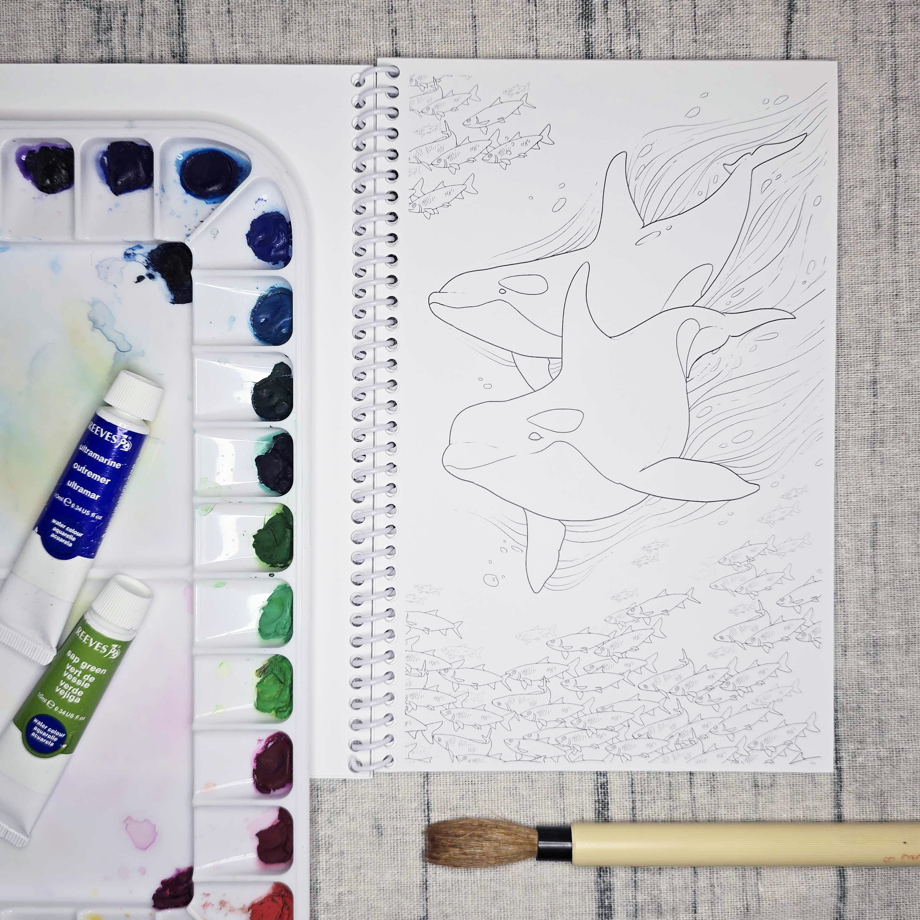 The Snow Finch – wholesale Målarbok - Vuxen – Kustnära Alaska konst målarbok4