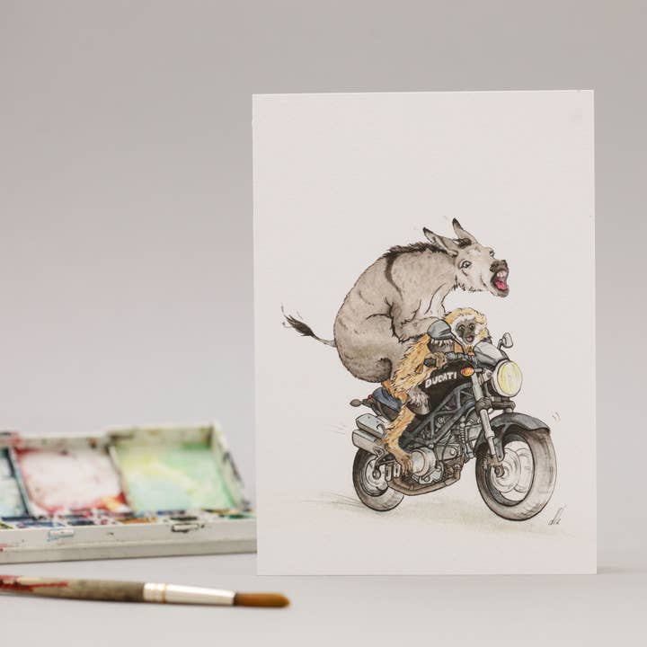 Ducati for wholesale by DMC Illustrations